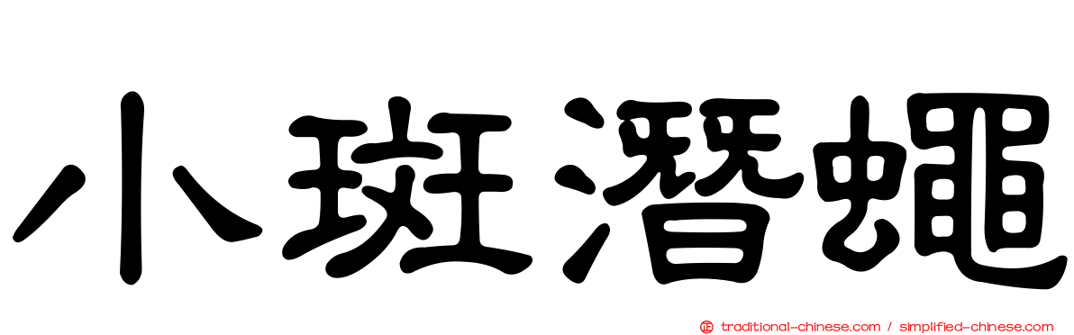 小斑潛蠅