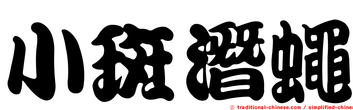 小斑潛蠅