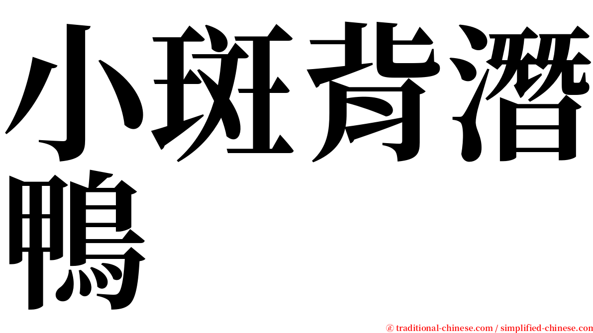 小斑背潛鴨 serif font