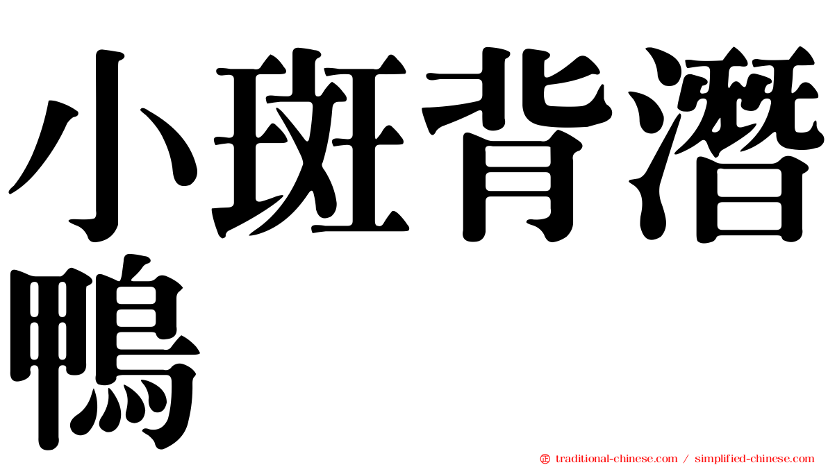 小斑背潛鴨