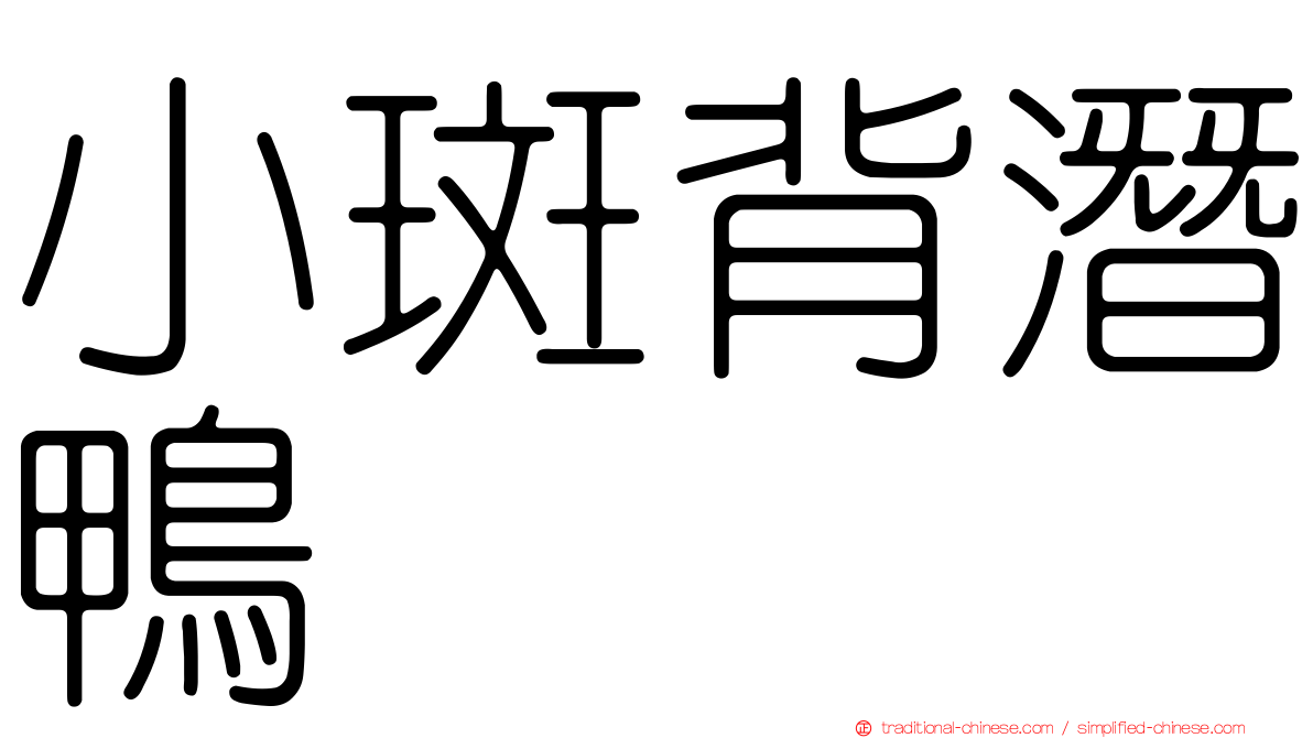 小斑背潛鴨