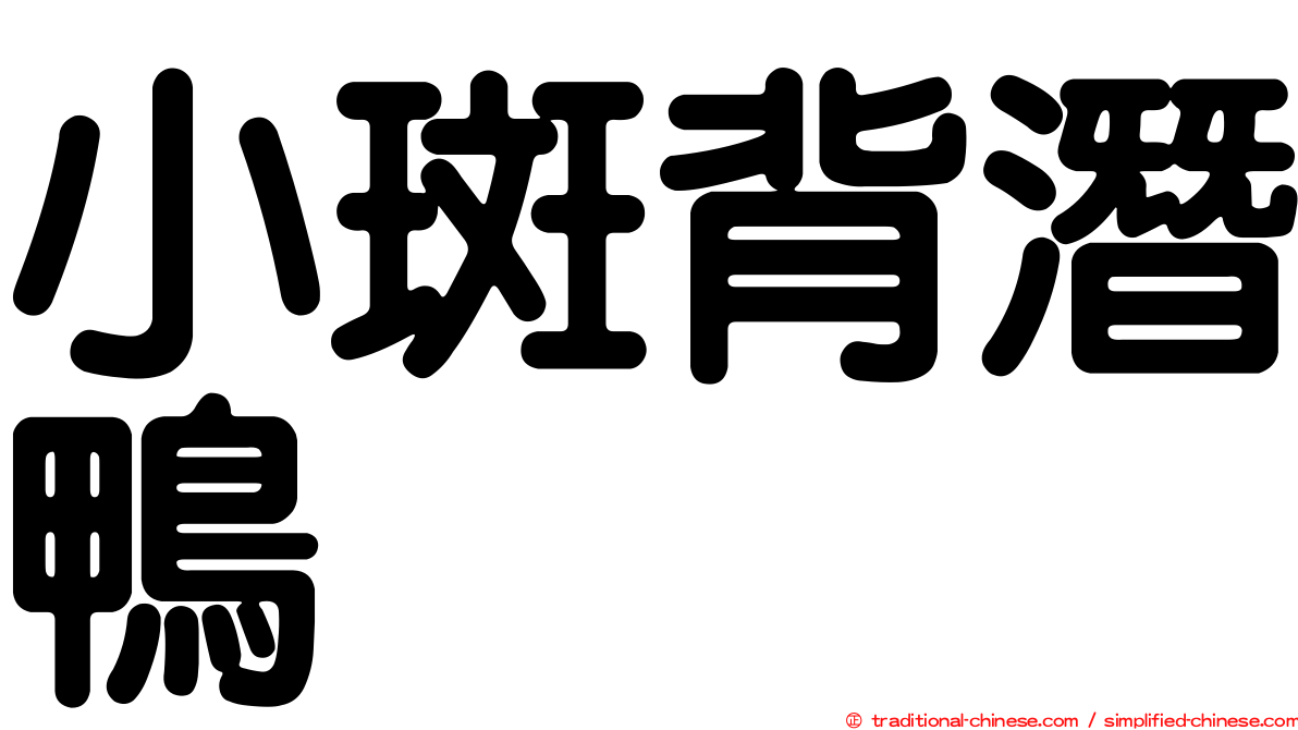 小斑背潛鴨