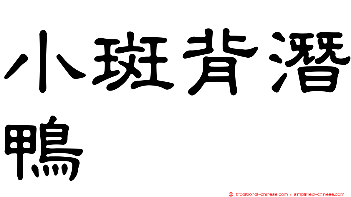 小斑背潛鴨