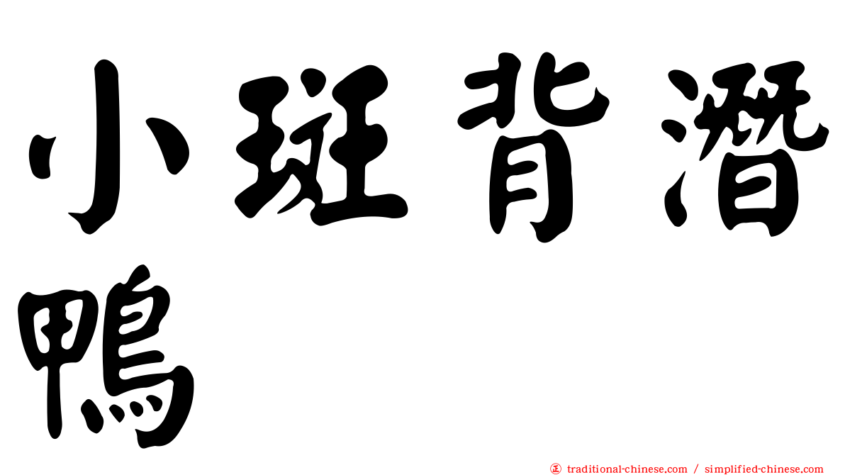 小斑背潛鴨