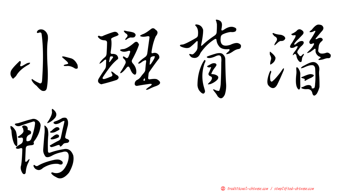 小斑背潛鴨