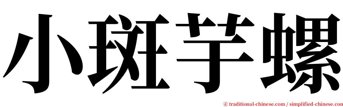 小斑芋螺 serif font