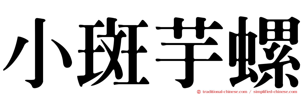 小斑芋螺