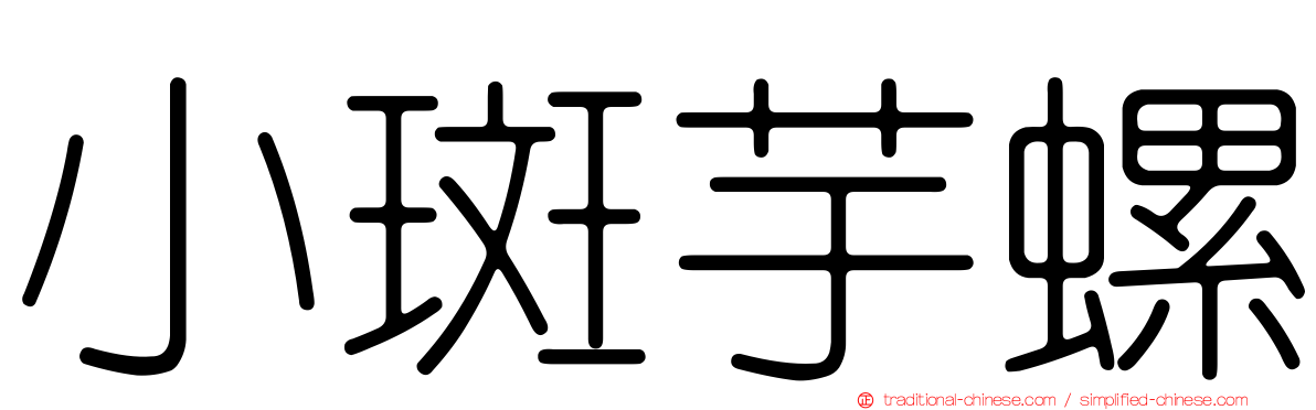 小斑芋螺