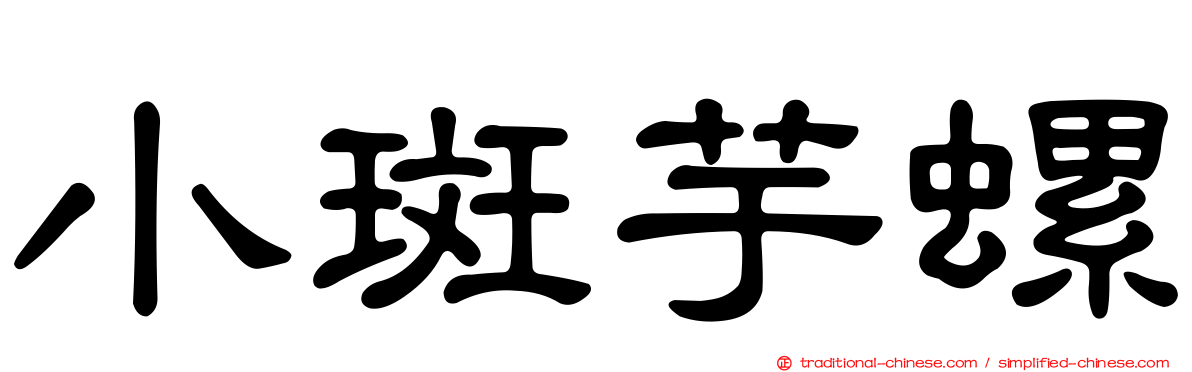 小斑芋螺