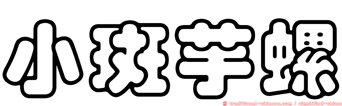 小斑芋螺
