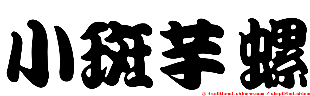 小斑芋螺