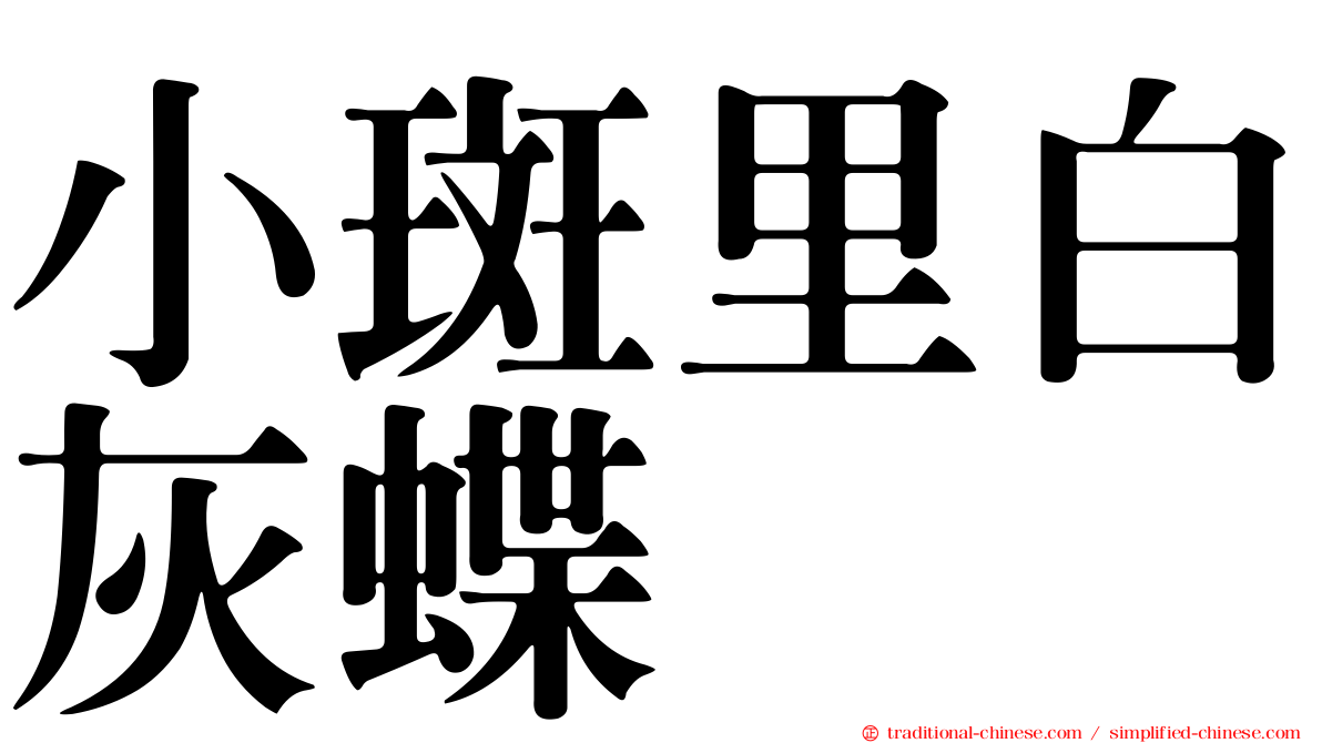 小斑里白灰蝶