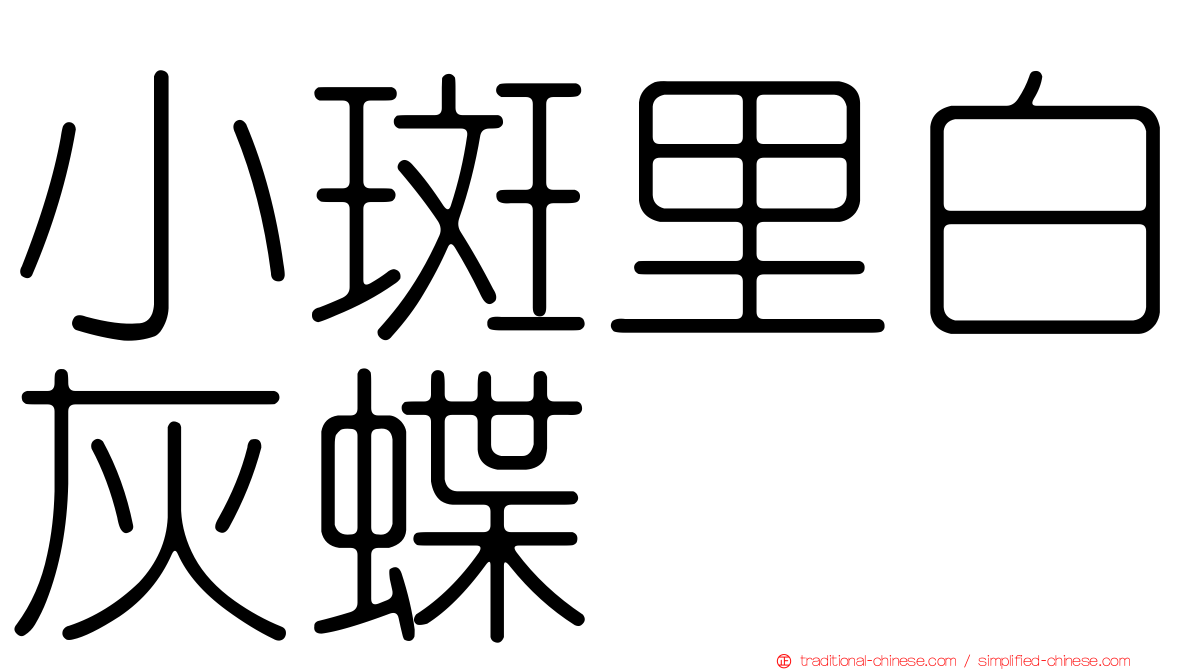 小斑里白灰蝶