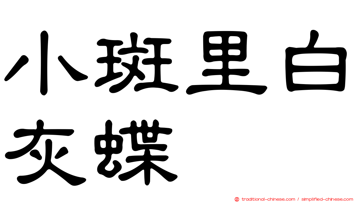 小斑里白灰蝶