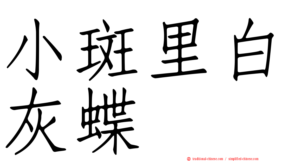 小斑里白灰蝶
