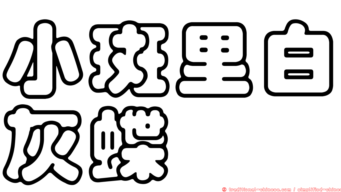小斑里白灰蝶
