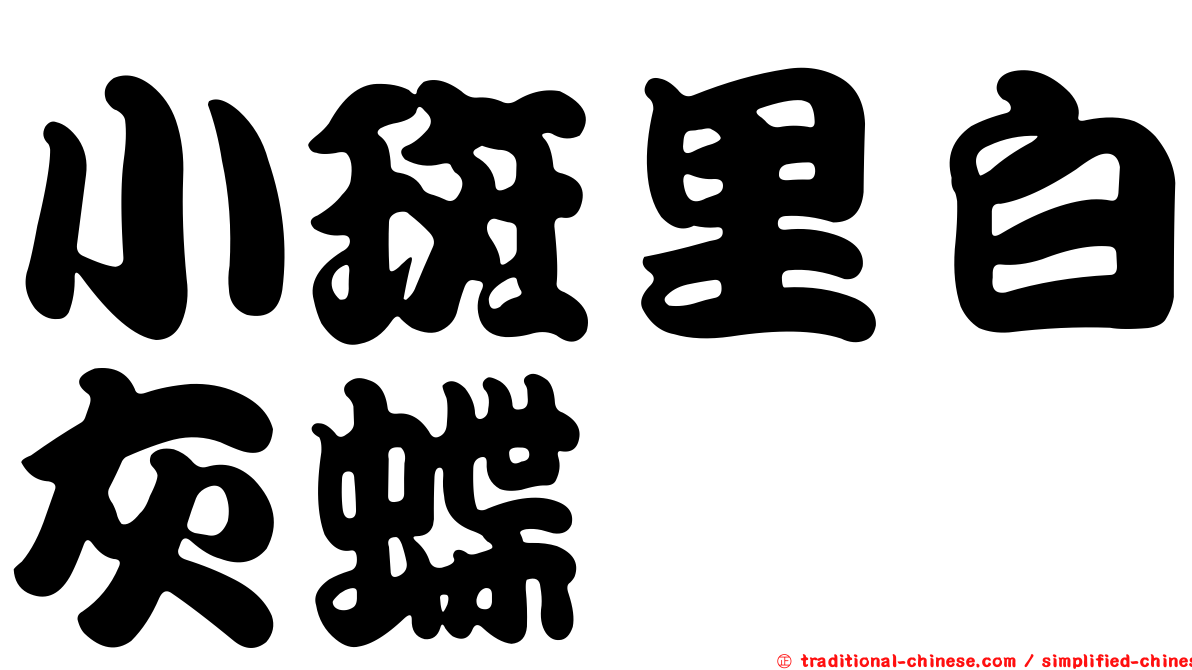 小斑里白灰蝶