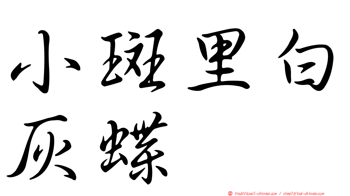 小斑里白灰蝶