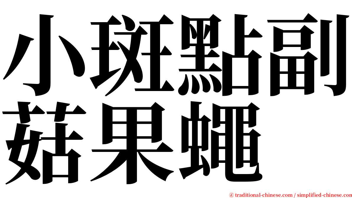 小斑點副菇果蠅 serif font