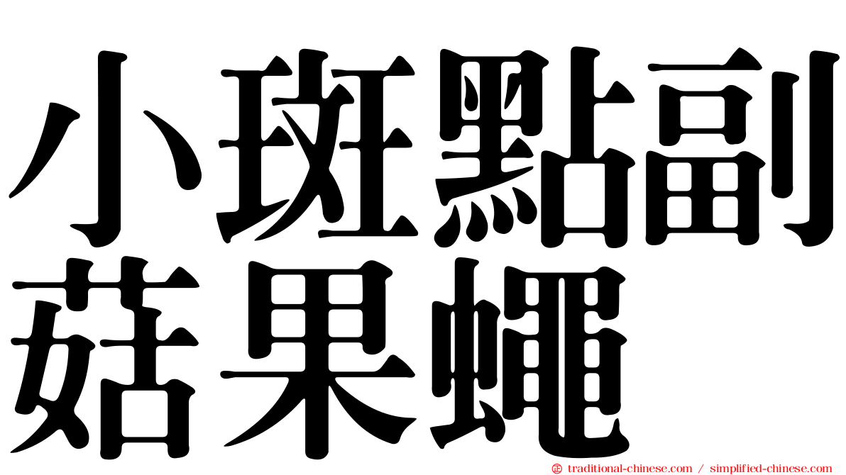小斑點副菇果蠅