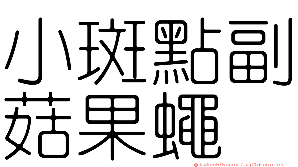 小斑點副菇果蠅