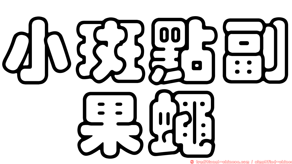 小斑點副菇果蠅