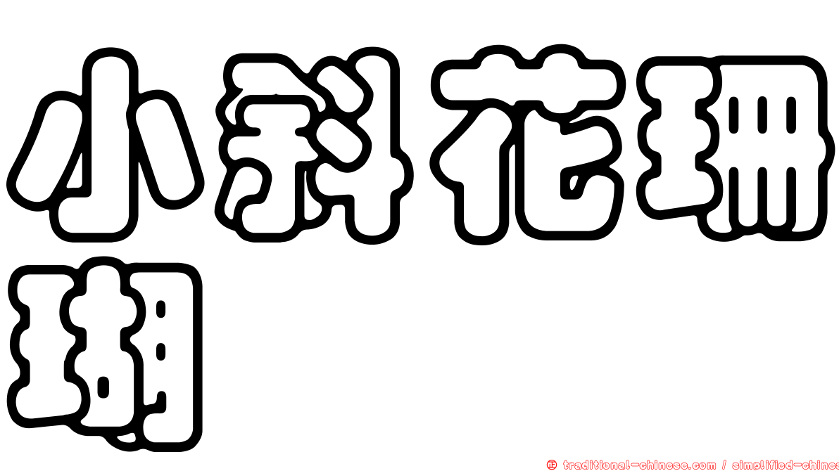 小斜花珊瑚