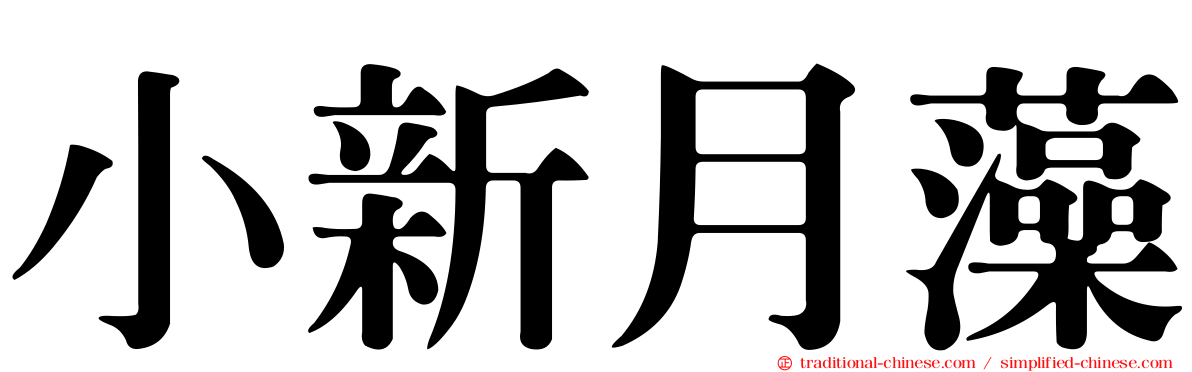 小新月藻