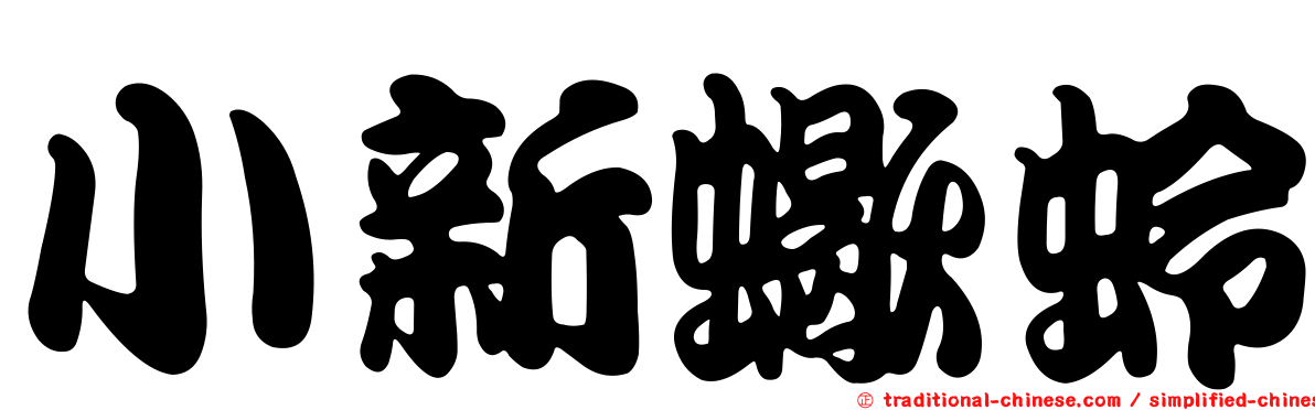 小新蠍蛉