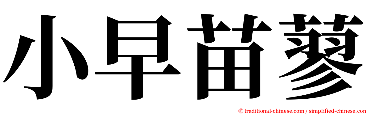 小早苗蓼 serif font