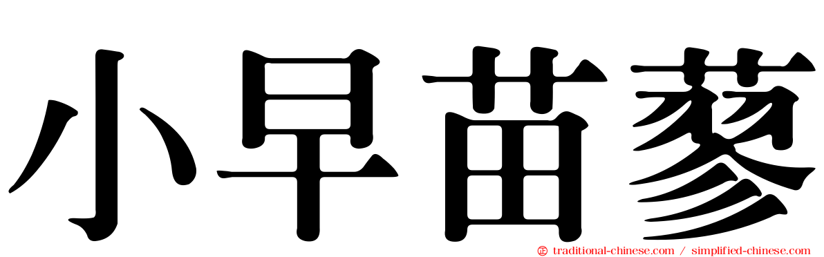 小早苗蓼