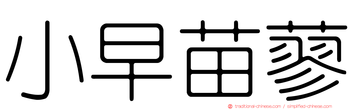 小早苗蓼