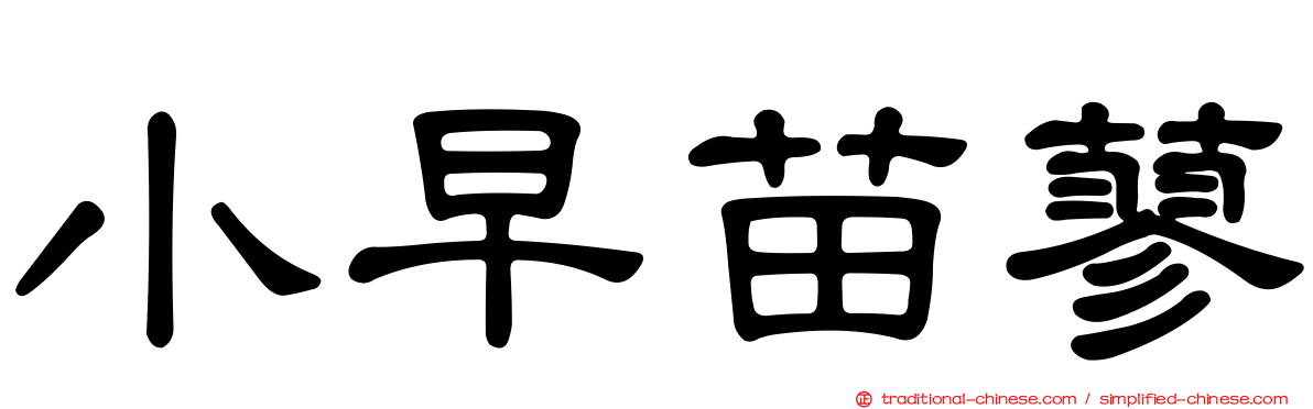 小早苗蓼