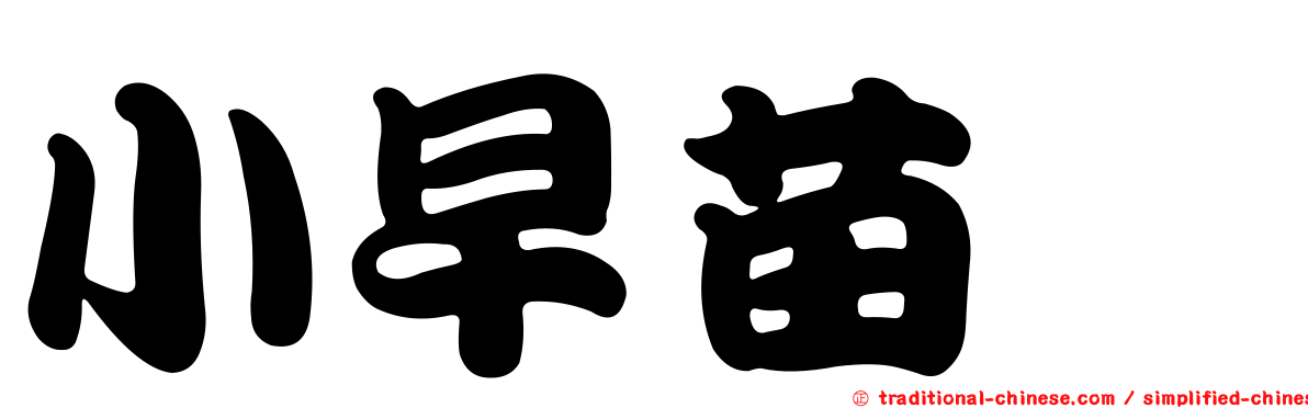 小早苗蓼