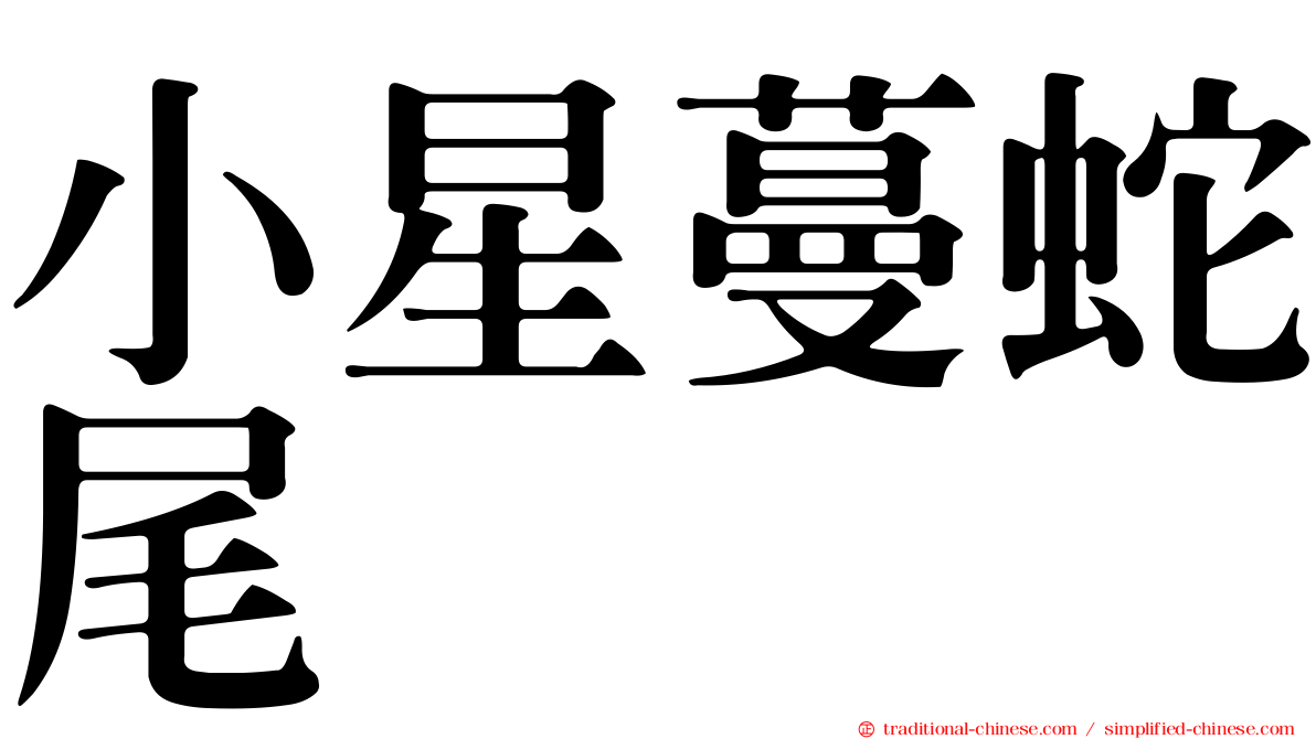 小星蔓蛇尾