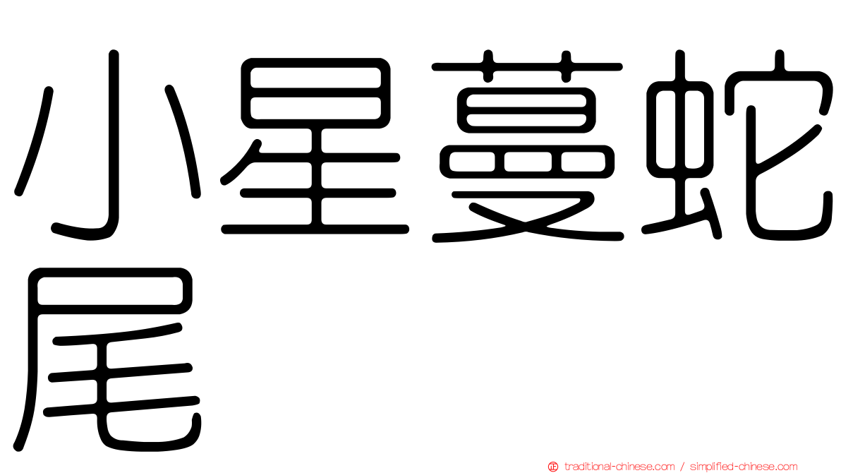 小星蔓蛇尾