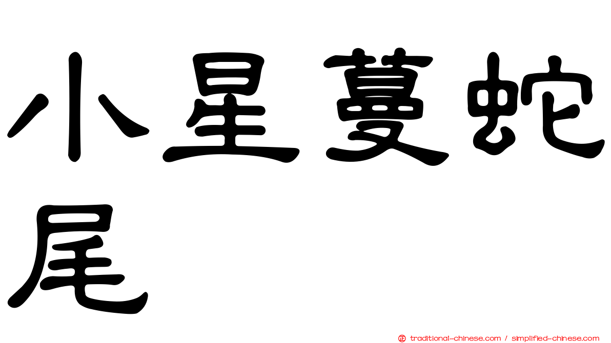 小星蔓蛇尾