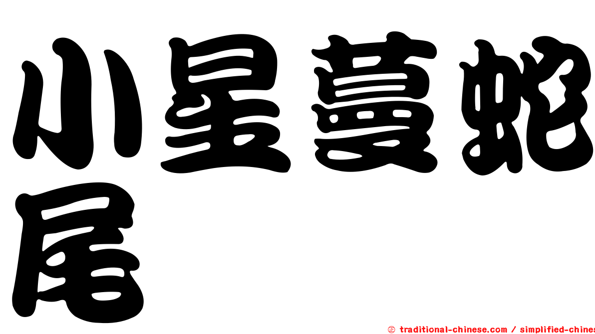 小星蔓蛇尾