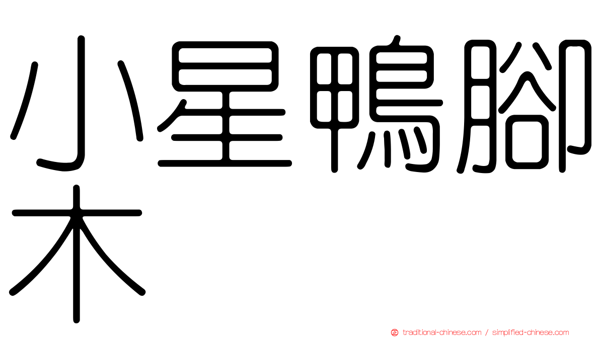 小星鴨腳木