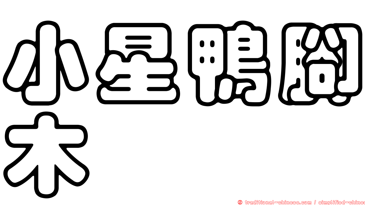 小星鴨腳木