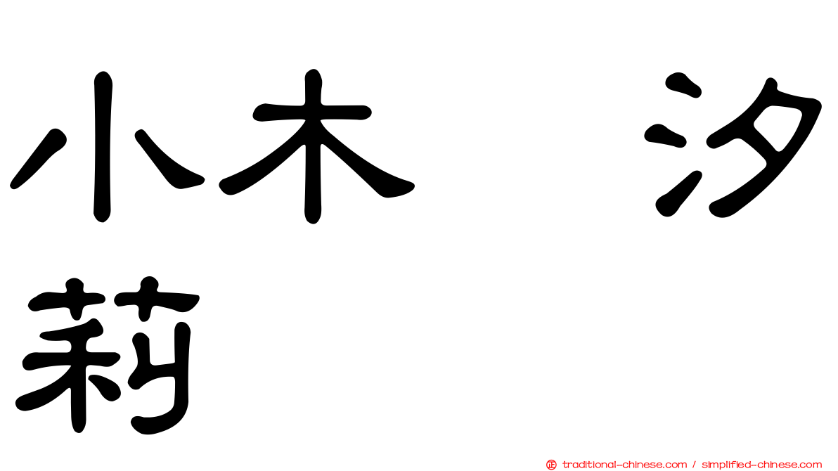 小木曽汐莉