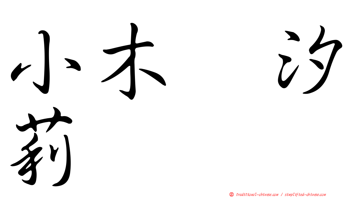 小木曽汐莉