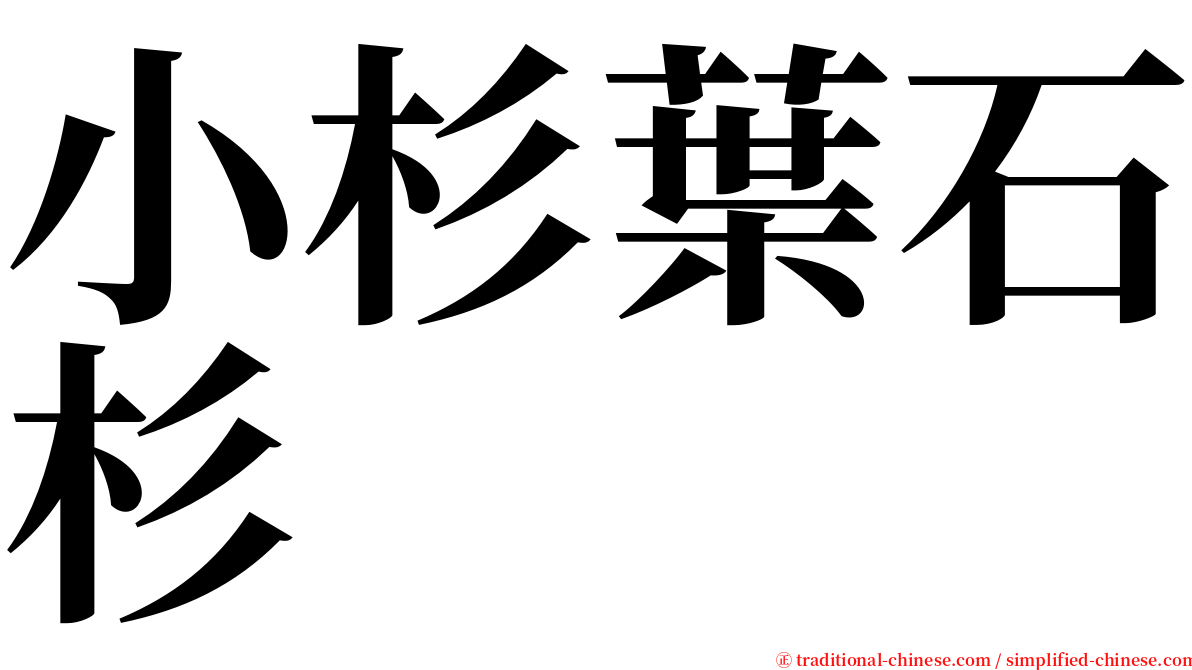 小杉葉石杉 serif font