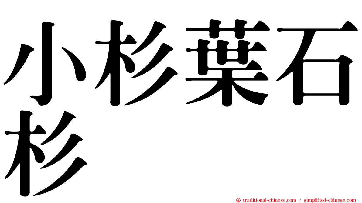 小杉葉石杉