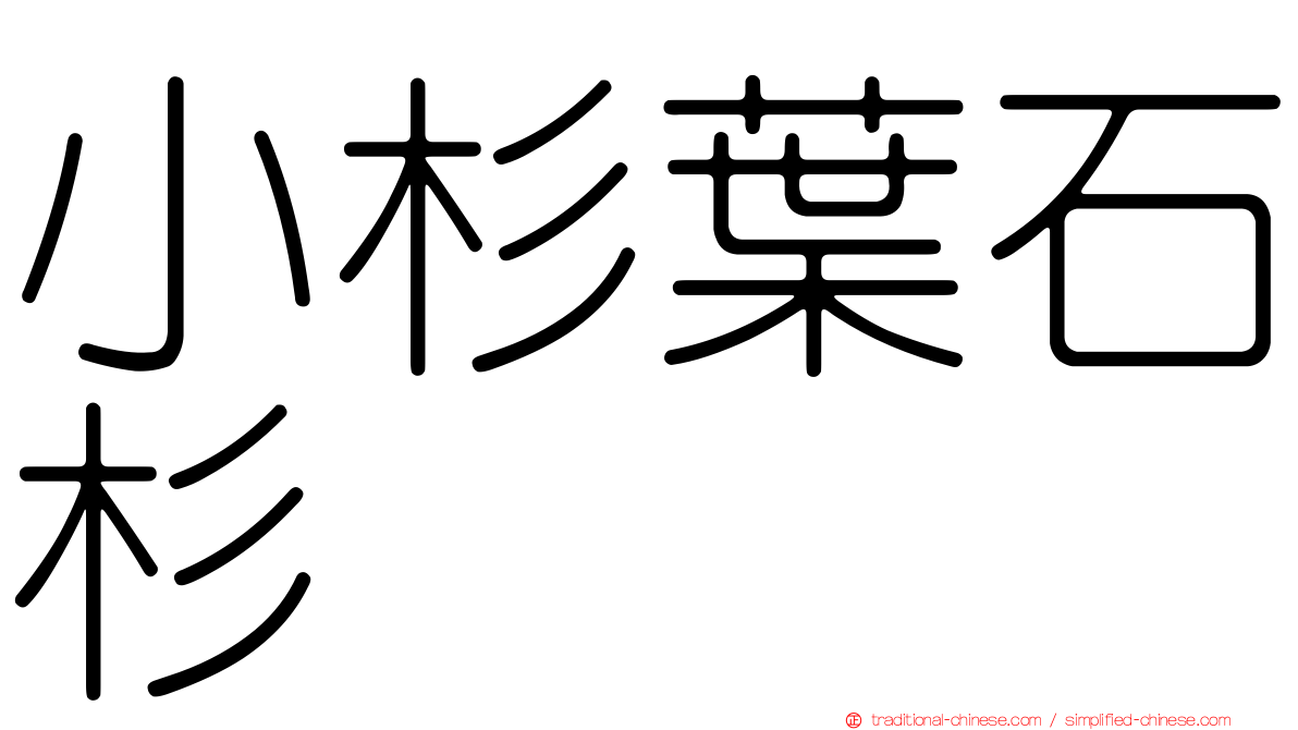 小杉葉石杉