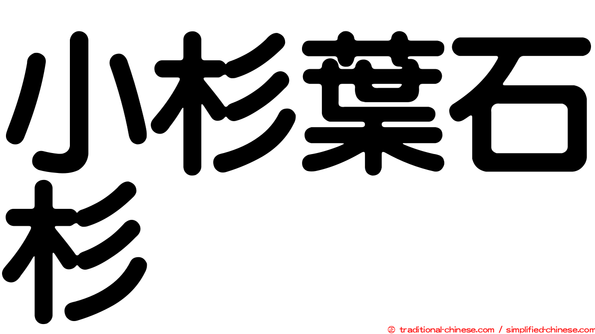 小杉葉石杉