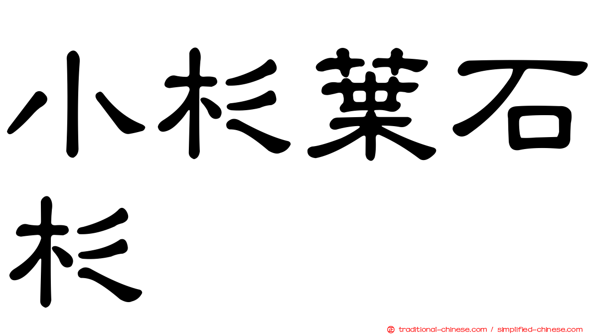 小杉葉石杉