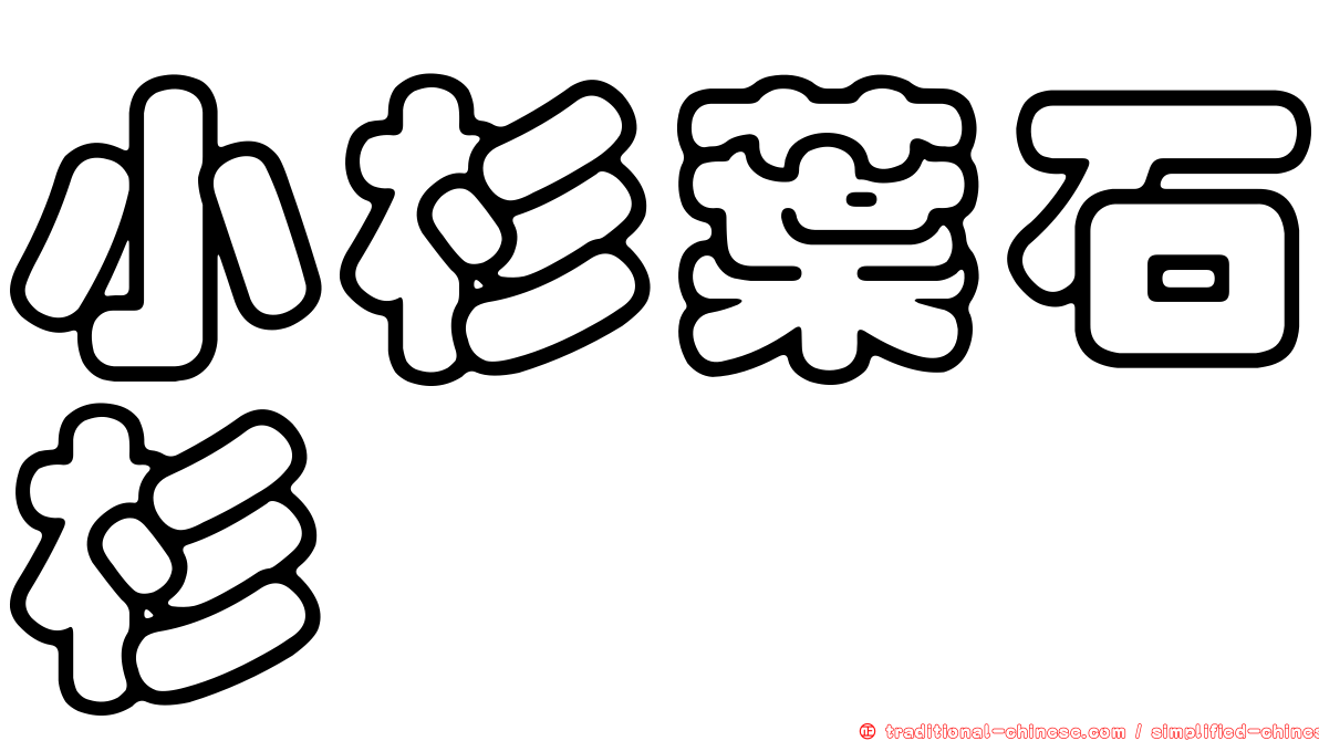 小杉葉石杉