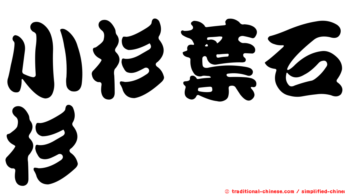 小杉葉石杉