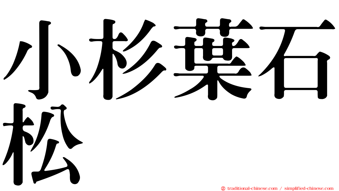 小杉葉石松